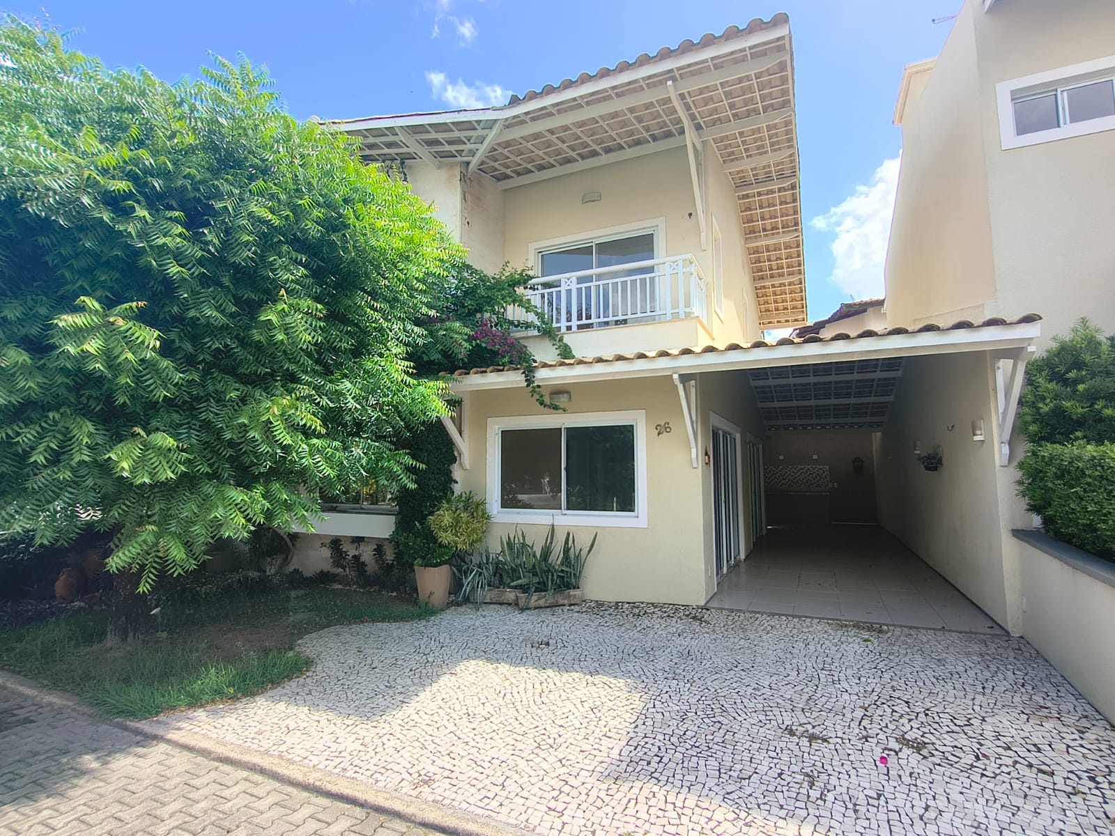 WhatsApp Image 2026-03-08 at 19.45.36