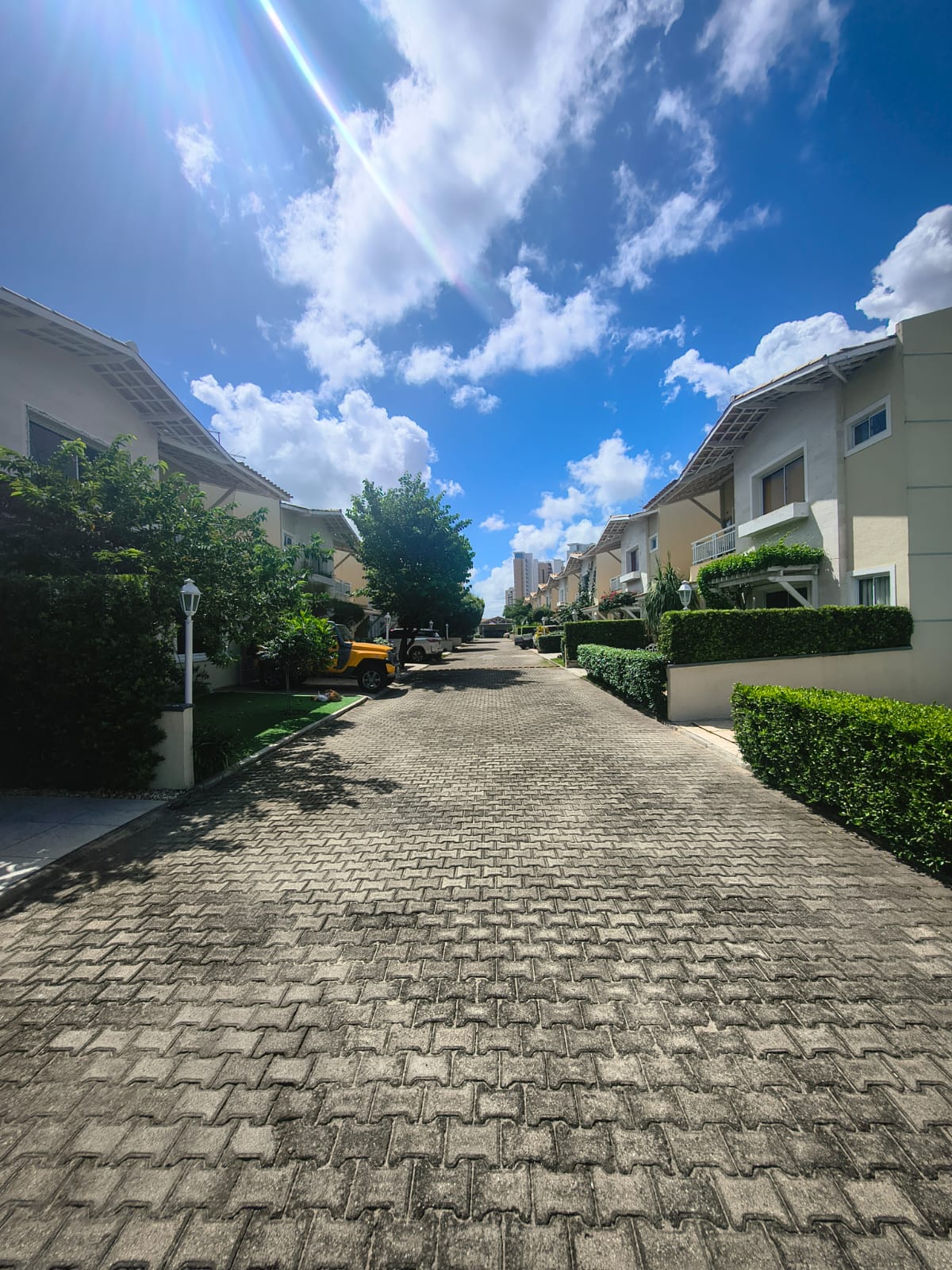 WhatsApp Image 2026-03-08 at 19.45.44